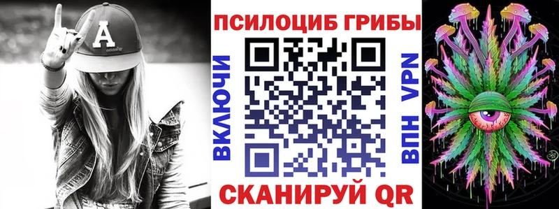 OMG сайт  Шарья  Галлюциногенные грибы MAGIC MUSHROOMS 